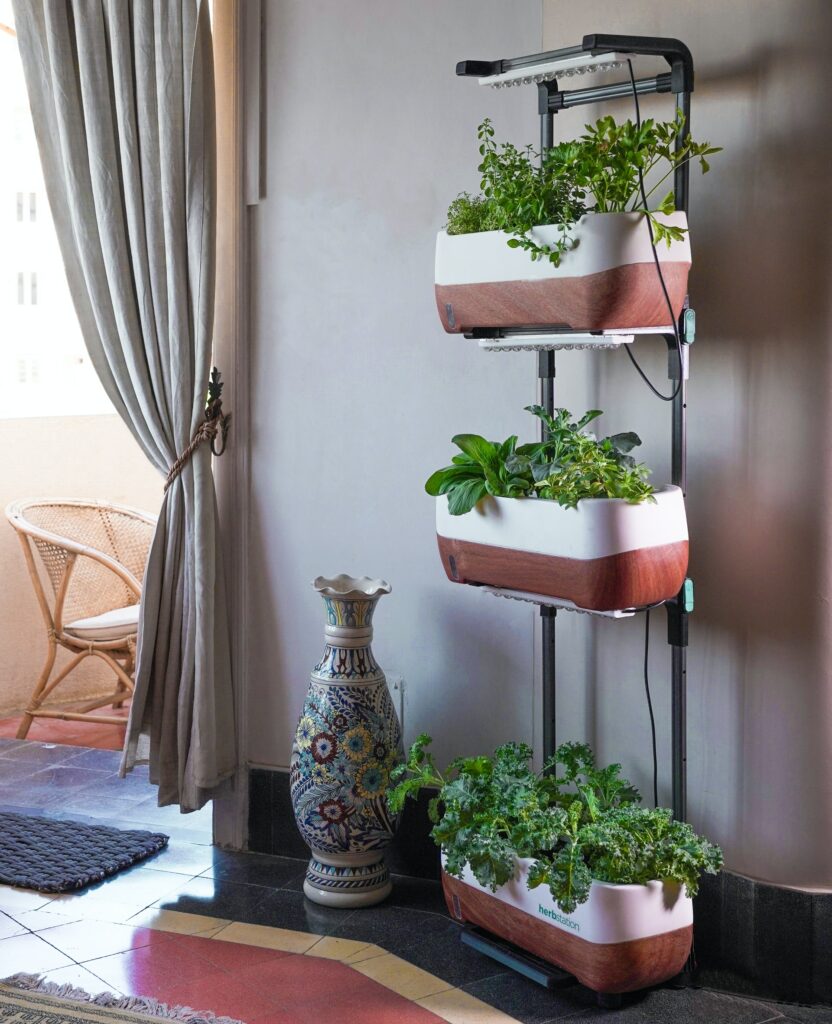Indoor Garden with Plants and Herbs